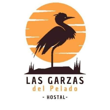 Hostal Las Garzas Del Pelado 플라야스 외부 사진